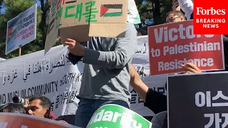 Activists Rally In Support Of Palestine In Seoul, South Korea