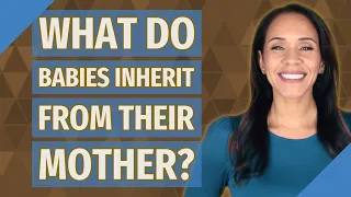 What do babies inherit from their mother?
