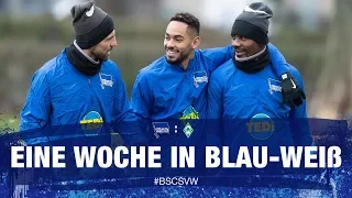 HAHOHE - Eine Woche in Blau-Weiß - 25. Spieltag - Werder Bremen - Hertha BSC