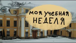 Моя учебная неделя на факультете свободных искусств