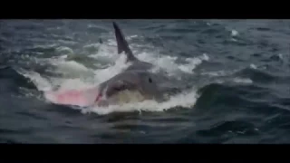 Jaws Modern Trailer (Fan Made)