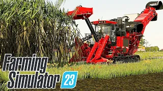 SAIU!!! NOVA CULTURA E NOVAS MAQUINAS NO FS23 | Farming Simulator 23