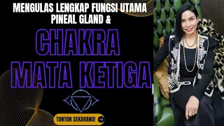 Chakra Mata Ketiga (Ajna) | Pusat Vision dan Kebijaksanaan |Cakra Mata Ketiga