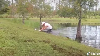 Man Saves Dog from Alligator 😯