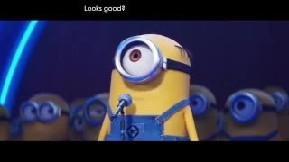 Despacito version Minions