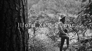 Ilford XP2 Super