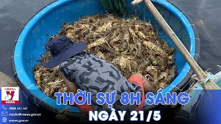 Hơn 90 tấn tôm hùm, cá chết bất thường tại Phú Yên;Hoa Kỳ kết luận sơ bộ điều tra CBPG nhôm Việt Nam
