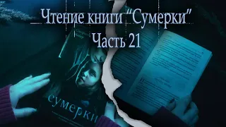 АСМР Чтение книги Сумерки часть 21| ASMR reading The Twilight Saga | rain sounds |Little Dragon ASMR