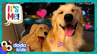Pup Gets A GIANT Surprise That Looks Just Like Him! | Dodo Kids | It's Me!