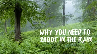Why You NEED To Shoot In The Rain: LANDSCAPE PHOTOGRAPHY