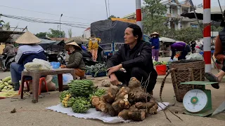 Harvesting strange potatoes | Strange bananas brought to the market to sell | king kong amazon