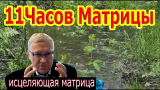 11Часов Матрицы Гаряева Полное Исцеление Всего Организма, Можно Слушать Вечно.