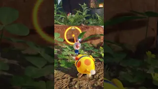 Find Olimar's Crashed Ship in the Pikmin 4 Demo!