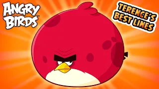 Angry Birds | Terence's Best Lines