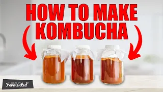 How To Make Kombucha | Tutorial