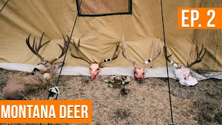 A Wall Tent DEER CAMP On Public Land | Montana Deer (EP. 2) 🦌