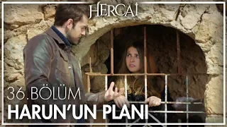 Benimle evlenirsen kurtulabilirsin sevgilim! - Hercai 36. Bölüm