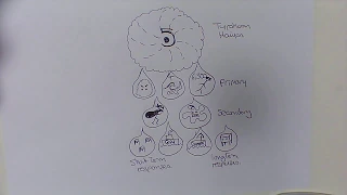 GCSE Typhoon Haiyan case study.