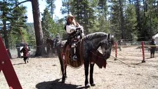 Jousting and sword play at the Renaissance