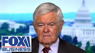 Every American should be worried about this 'deliberate political effort,' Gingrich warns