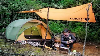 Solo TENT Camping with my Dog (Cooking on Campfire)