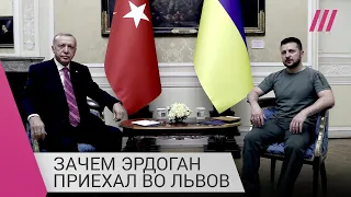 Мост между Россией и Украиной: зачем Эрдоган провел встречу с Зеленским и генсеком ООН