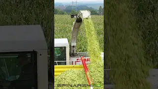 Silage with Claas Jaguar 850