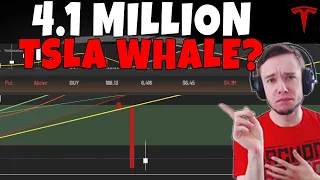 TESLA Stock - 4.1 MILLION TSLA Whale