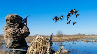 THE MOST BEAUTIFUL GOOSE HUNTING 2023
