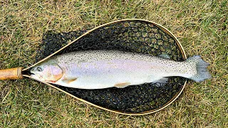 Trout Fishing in December at Cedar Springs