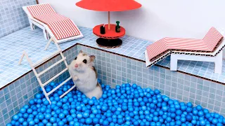 Pool maze for cute Hamster - playground for pets in real life
