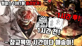 [원피스 1081화 미리보기!]대해적 시대의 종말 해군이 두려워한 신시대의 시작!? 세계의 운명을 바꿀 검은수염 해적단 vs 거프의 전투! 사황 루피와 만나게 될 오로성과 키자루!