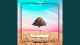 Chamomile