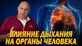 Функциональная анатомия: Правильное дыхание и его влияние на здоровье внутренних органов человека