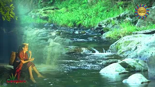 Acqua e Panflute - Acqua che scorre - Natura e uccelli - Panflute a 432 hz - Atmosfera rilassante