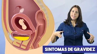 Primeiros Sintomas de Gravidez