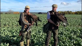 GOLDEN EAGLES | Catch Compilation. #eagle #eaglehunters #hunting #wildlife #meateater