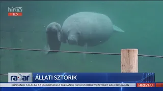 Radar - Állati sztorik (2022-01-04) - HÍR TV