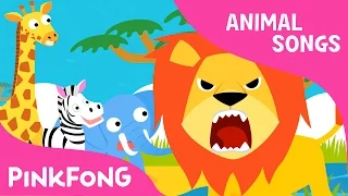 Hakuna matata | Lagu hewan | PINKFONG Lagu untuk Anak-anak