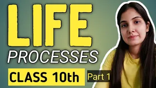 Life processes class 10th🔥l Biology Chapter 5 l Part-1 l NCERT covered l Board Exams 2024