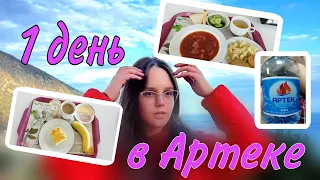 Артек / 1 день / перелёт / отряд / заезд