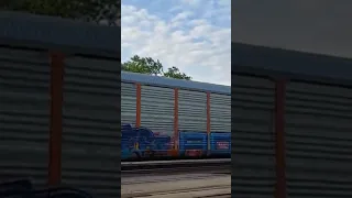 I Was Filming a Train Then a Special Amtrak Appeared