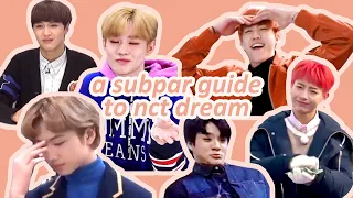 a subpar guide to nct dream