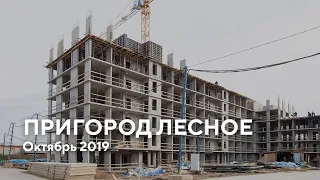 ЖК "Пригород Лесное" / Октябрь 2019