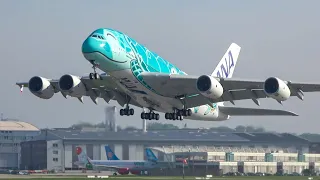 (4K) AMAZING 'Sea Turtle' livery! Second ANA A380 takes off from Hamburg Finkenwerder airport