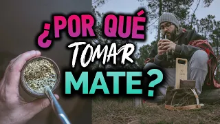 5 RAZONES por qué es BUENO tomar MATE!