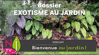 DONNEZ UNE TOUCHE D’EXOTISME À VOTRE JARDIN : CHOIX ET CONSEILS PAR NOS EXPERTS PATRICK ET ROLAND