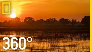 The Okavango After Dark in 360 - Ep. 3 | The Okavango Experience