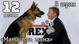 Комиссар Рекс, 12 сезон, 5 серия «Мама есть мама»