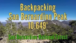 Backpacking to San Bernardino Peak - 10,649' - San Bernardino National Forest